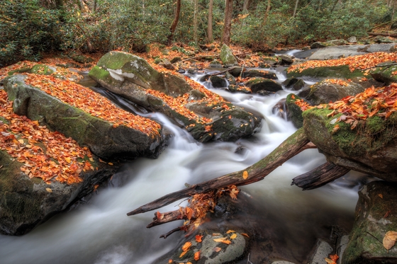 Great Smoky Mountains National Park