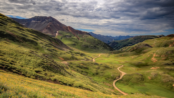 Uncompahgre National Forest