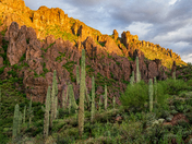 Superstition Wilderness