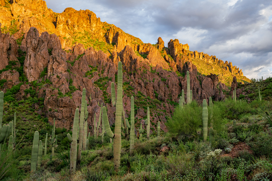 Superstition Wilderness