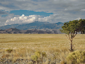 Great Sand Dunes National Park and Preserve