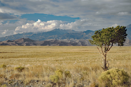 Great Sand Dunes National Park and Preserve