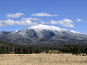 Coconino National Forest