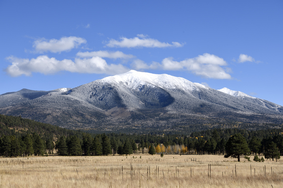 Coconino National Forest