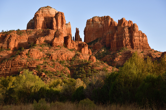 Coconino National Forest