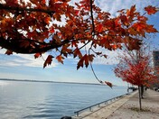 Fall on Toronto's Waterfront 