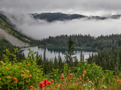 Mount Rainier National Park
