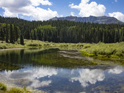 Uncompaghre National Forest