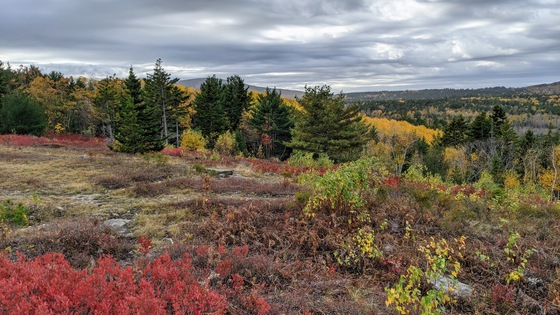 Acadia National Park