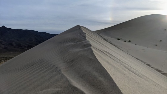 Mojave National Preserve