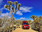 Joshua Tree National Park