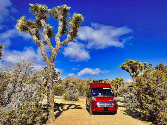 Joshua Tree National Park