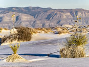 White Sands National Park