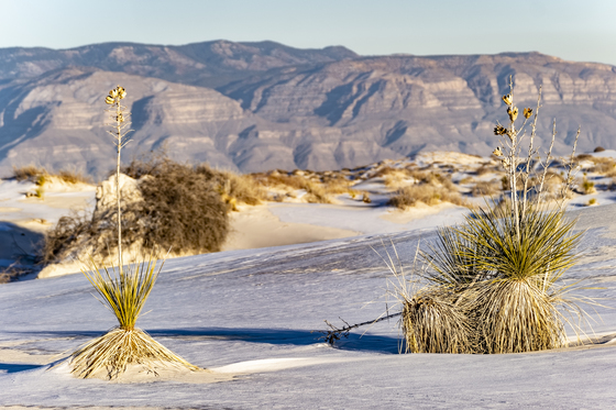 White Sands National Park