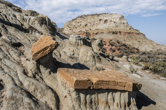 Theodore Roosevelt National Park