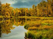 Inglewood Fall Colors