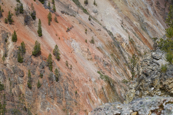 Yellowstone National Park