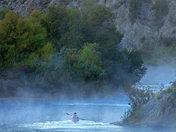 Tonto National Forest