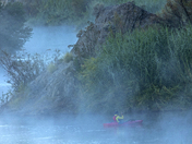 Tonto National Forest 