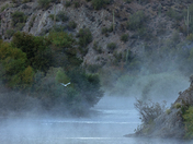 Tonto National Forest