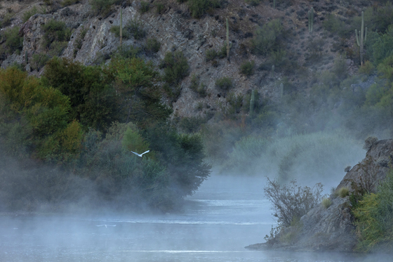 Tonto National Forest