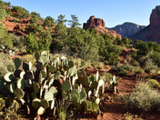 Coconino National Forest
