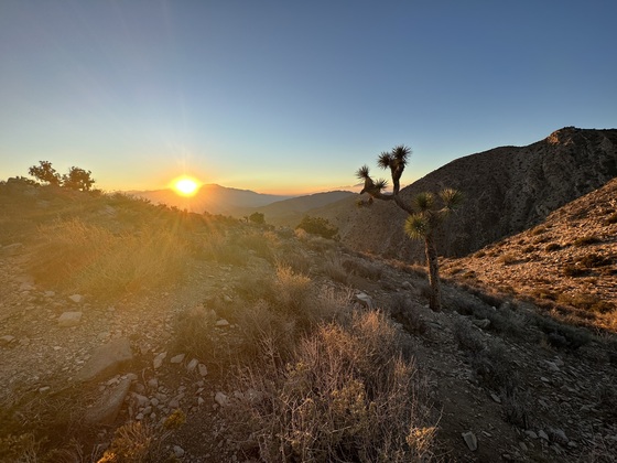 Joshua Tree National Park