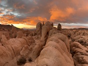 Joshua Tree National Park