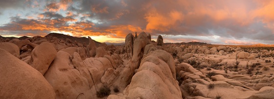Joshua Tree National Park