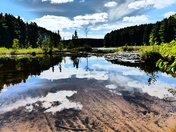 Peaceful Pog Lake