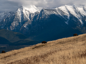 National Bison Range 
