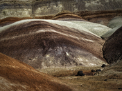 Capitol Reef National Park