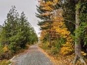 Acadia National Park