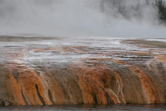 Yellowstone National Park