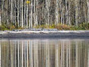 Ts'yl-os Provincial Park