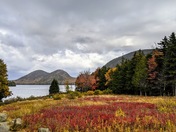 Acadia National Park