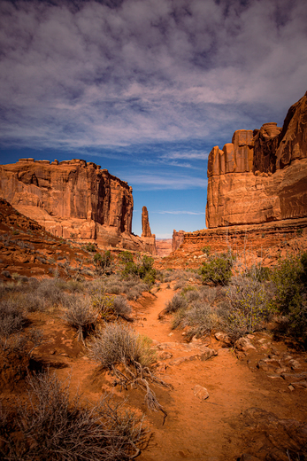 Arches National Park