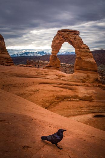 Arches National Park