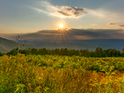 Shenandoah National Park 