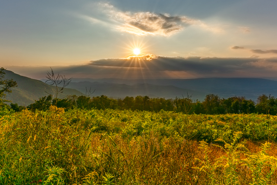 Shenandoah National Park 