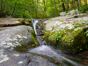 Shenandoah National Park 