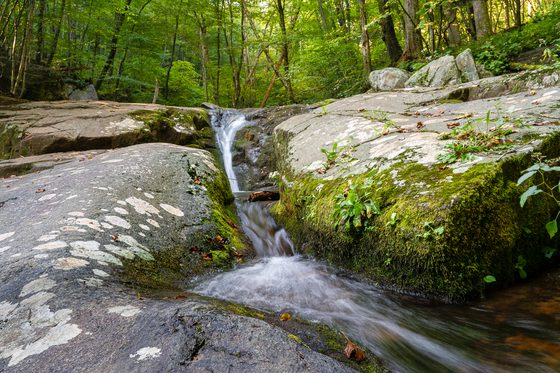 Shenandoah National Park 