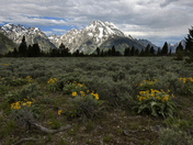Grand Teton National Park