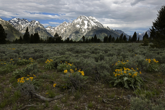 Grand Teton National Park