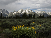 Grand Teton National Park