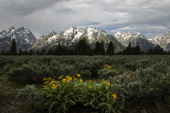 Grand Teton National Park