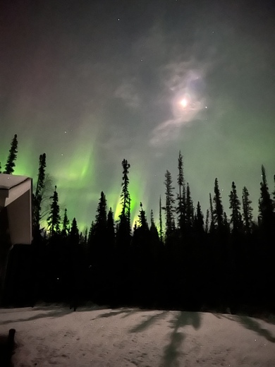 Denali National Park and Preserve