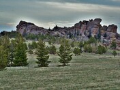 Medicine Bow-Routt National Forest