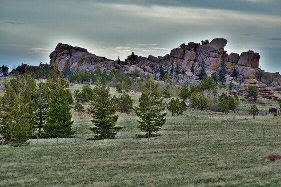 Medicine Bow-Routt National Forest
