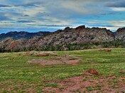 Medicine Bow-Routt National Forest